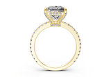 Sael Princess Diamond  Engagement Ring