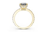 Sael Radiant Diamond  Engagement Ring