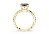 Orithia Radiant Diamond  Engagement Ring