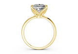 Valen Princess Diamond Engagement Ring