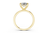 Arianne Elongated Cushion Diamond Engagement Ring