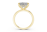 Nira Heart Diamond Engagement Ring