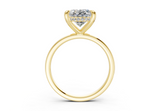 Nira Oval Diamond Engagement Ring