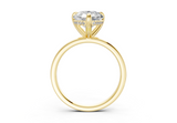 Arianne Pear Diamond Engagement Ring