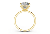 Arianne Princess Diamond Engagement Ring