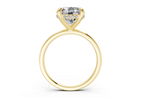 Liara Round Diamond Engagement Ring