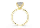 Arianne Radiant Square Diamond Engagement Ring