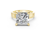 Daris Princess Diamond Engagement Ring