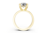 Orina Elongated Cushion Diamond Engagement Ring