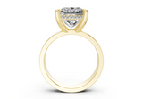 Vana Princess Diamond Engagement Ring