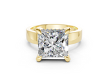 Orina Princess Diamond Engagement Ring