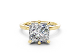 Ione Princess Diamond Engagement Ring