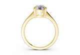 Alara Elongated Cushion Diamond Engagement Ring