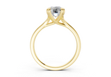 Aurea Elongated Cushion Diamond Engagement Ring