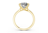 Aurea Princess Diamond Engagement Ring