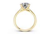 Clio Round Diamond Engagement Ring