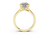 Clio Radiant Square Diamond Engagement Ring