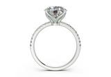 Freesia Round Engagement Ring