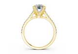 Irisia Elongated Cushion Engagement Ring