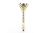 Irisia Elongated Cushion Engagement Ring