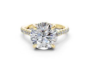 Petunia Pave 2mm Enagaement Ring