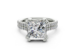 Twin Princess Engagment Ring