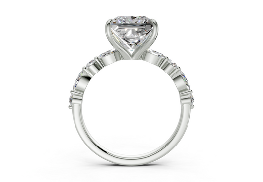 Zania Princess Diamond Engagement Ring