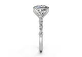 Zania Princess Diamond  Engagement Ring