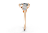 Vexia Heart Diamond  Engagement Ring